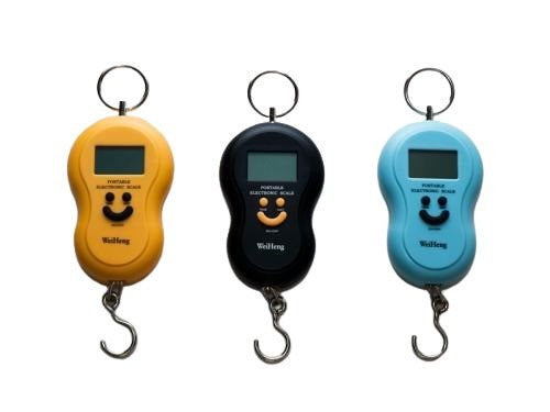 50kg Electronic Luggage Weighing Scale with Batteries