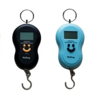 50kg Electronic Luggage Weighing Scale with Batteries